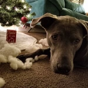 Meet your Posher, Vera